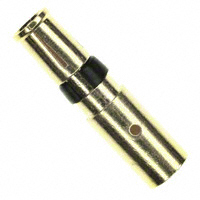 Image: L17DM53744201