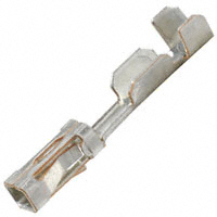 Image: 102128-2